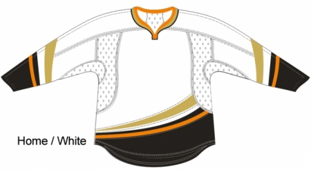 Anaheim Ducks